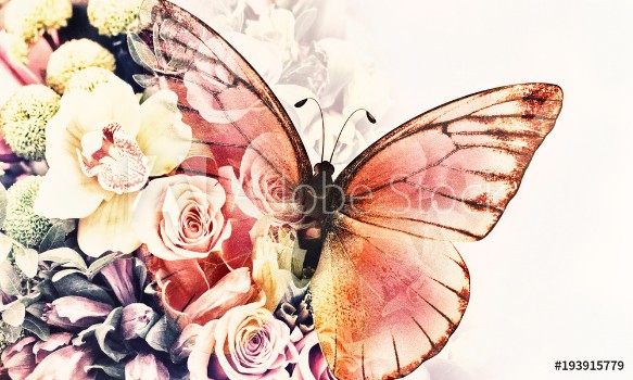 Image de Butterfly with flowers